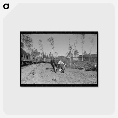 アートポストカード-Camp Near Effie, Minnesota
 - ラッセル リー Postcard.