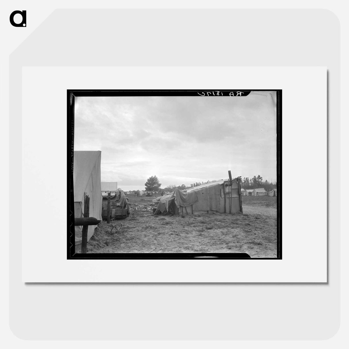 Camps of migrant pea workers - Dorothea Lange Poster.