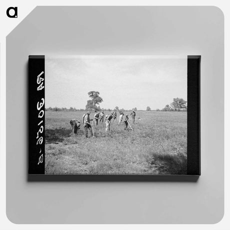 アートパネル-Planting Trees, Allegan Project
 - ラッセル リー Canvas.