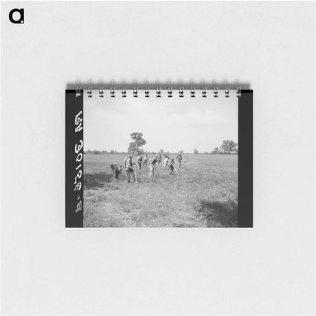 アートメモ帳-Planting Trees, Allegan Project
 - ラッセル リー Memo.
