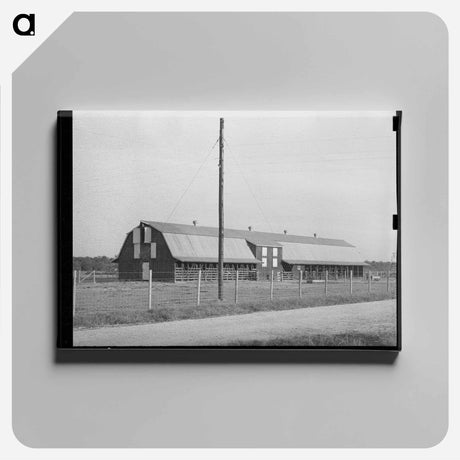 アートパネル-Mule Barn, Lake Dick Project
 - ラッセル リー Canvas.