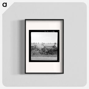 アートポスター-Virginia wheat field - ドロテア ラング Poster.