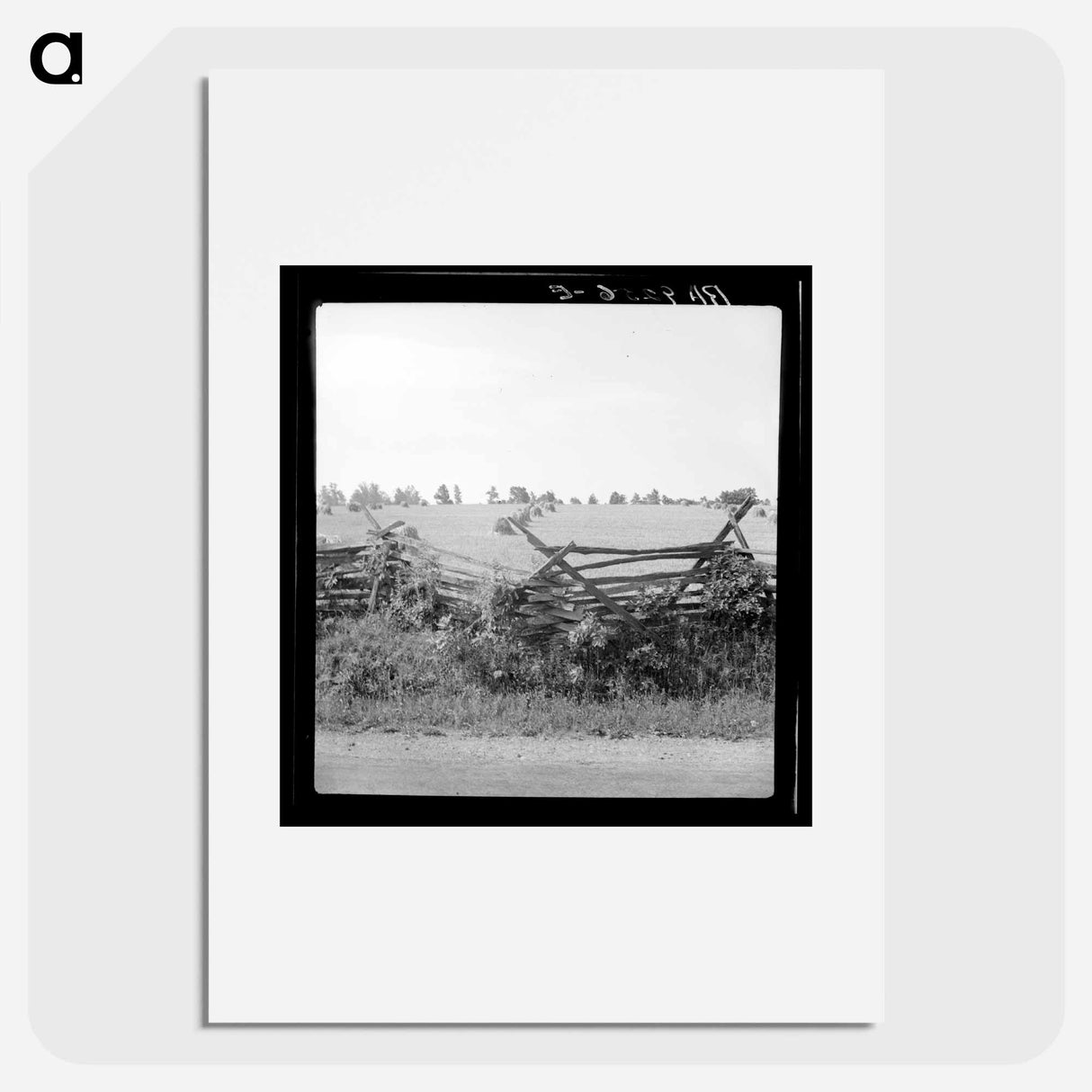 Virginia Wheat Field - Dorothea Lange Poster.