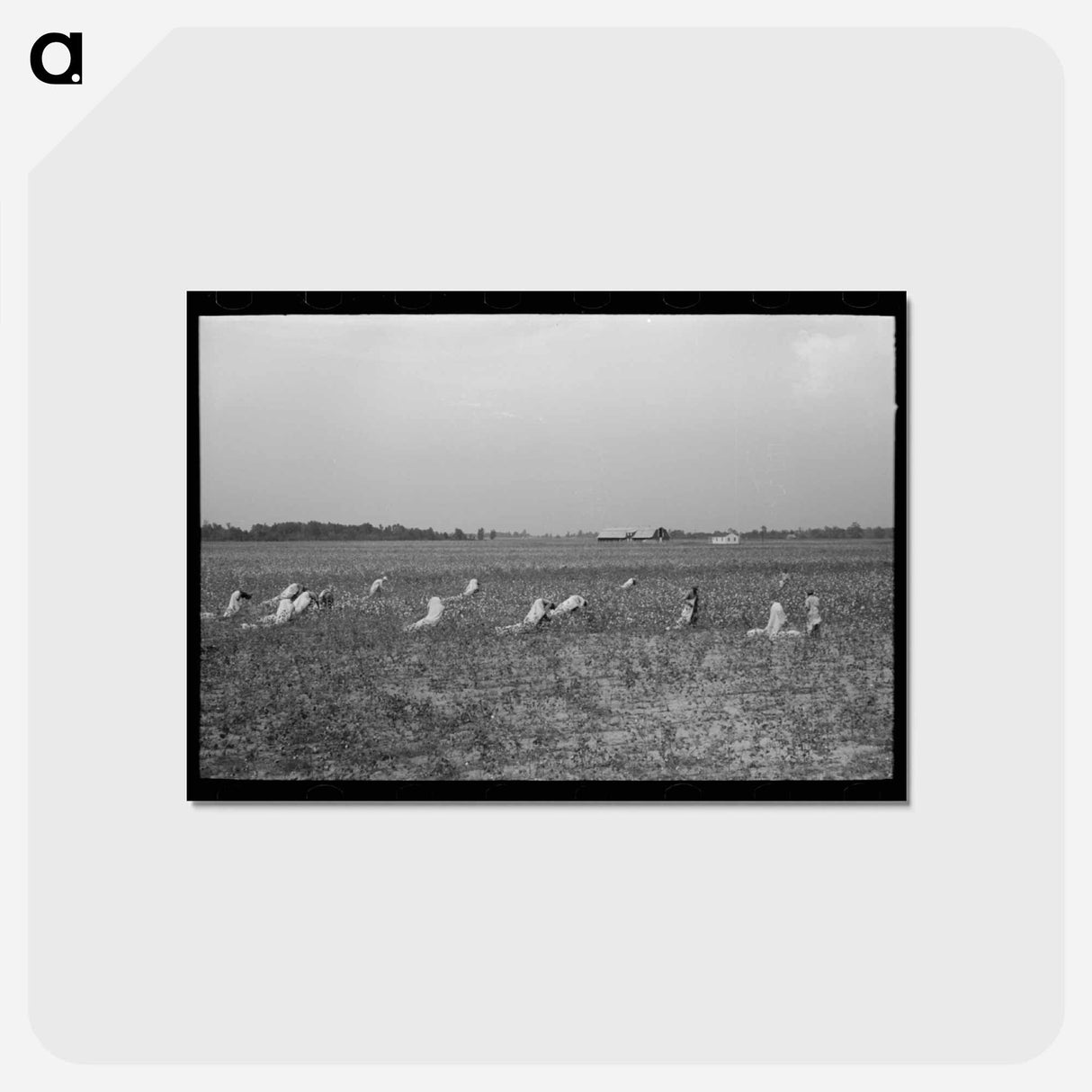 アートポストカード-Picking Cotton
 - ラッセル リー Postcard.