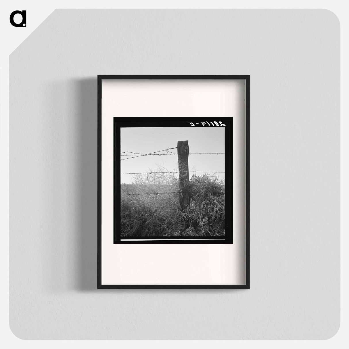 Untitled photo - Dorothea Lange Poster.