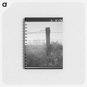 アートメモ帳-Untitled photo - ドロテア ラング Memo.