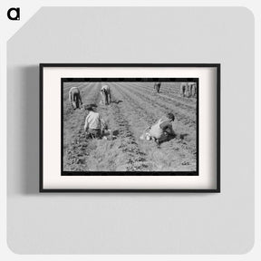 アートポスター-Strawberry Pickers
 - ラッセル リー Poster.