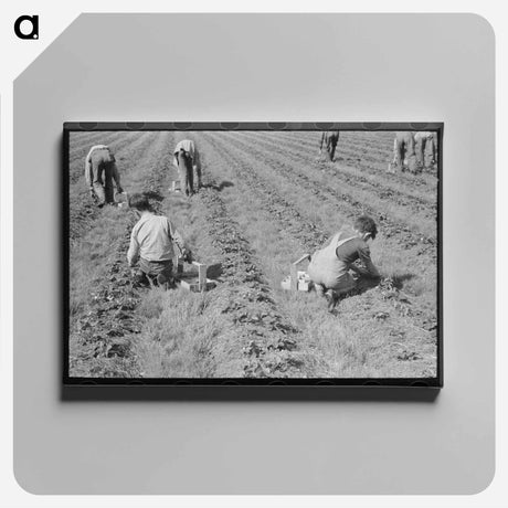 アートパネル-Strawberry Pickers
 - ラッセル リー Canvas.