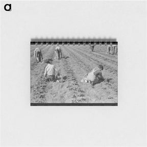 アートメモ帳-Strawberry Pickers
 - ラッセル リー Memo.