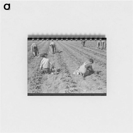 アートメモ帳-Strawberry Pickers
 - ラッセル リー Memo.