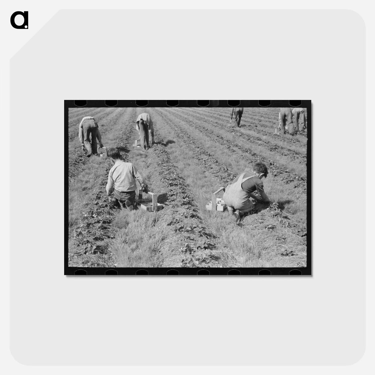 アートポストカード-Strawberry Pickers
 - ラッセル リー Postcard.