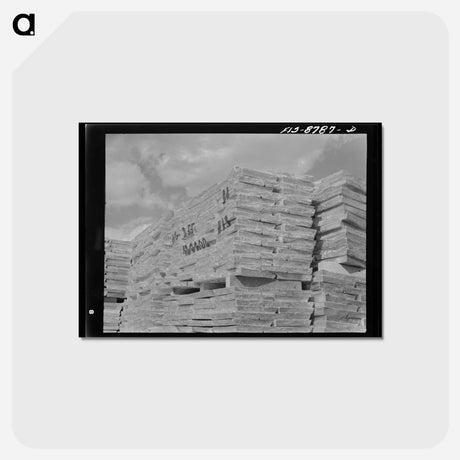 アートポストカード-Zinc for Market
 - ラッセル リー Postcard.