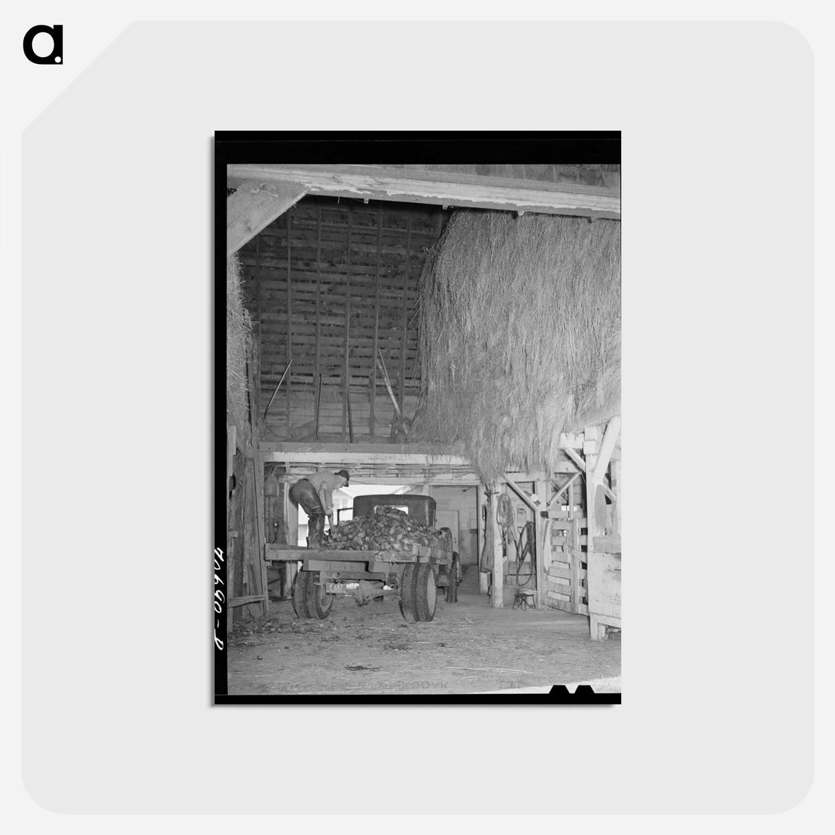 アートポストカード-Dairy Farmer Unloading Field Beets
 - ラッセル リー Postcard.