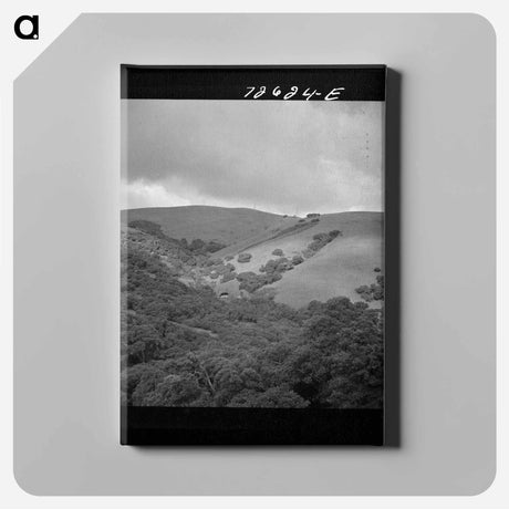 アートパネル-San Benito County Foothills
 - ラッセル リー Canvas.