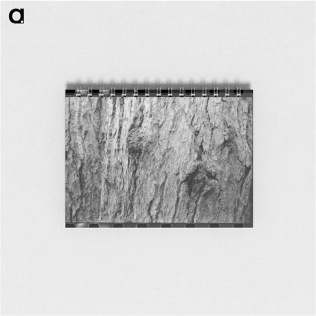 アートメモ帳-Long Bell Lumber Trunks
 - ラッセル リー Memo.