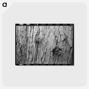 アートポストカード-Long Bell Lumber Trunks
 - ラッセル リー Postcard.