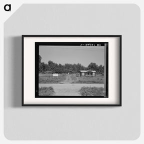 アートポスター-The poultry unit of the Delta cooperative farm. Hillhouse, Mississippi. - ドロテア ラング Poster.