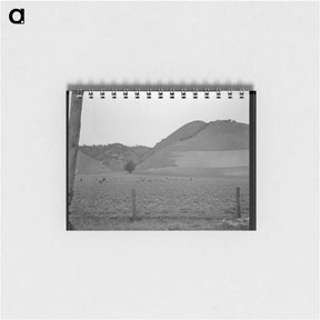 アートメモ帳-Filipino gang labor in pea fields near Pismo Beach, Nipomo, California - ドロテア ラング Memo.
