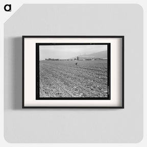 アートポスター-Spreckels sugar factory and sugar beet field with Mexican and Filipino workers thinning sugar beets - ドロテア ラング Poster.