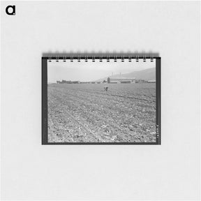 アートメモ帳-Spreckels sugar factory and sugar beet field with Mexican and Filipino workers thinning sugar beets - ドロテア ラング Memo.