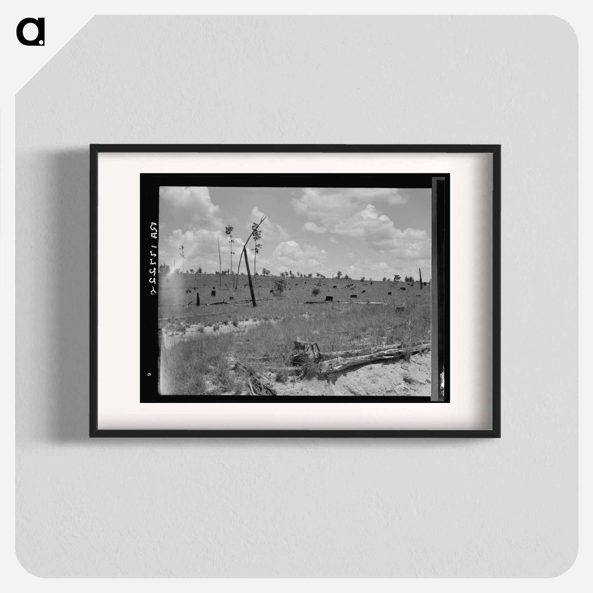 Untitled photo - Dorothea Lange Poster.