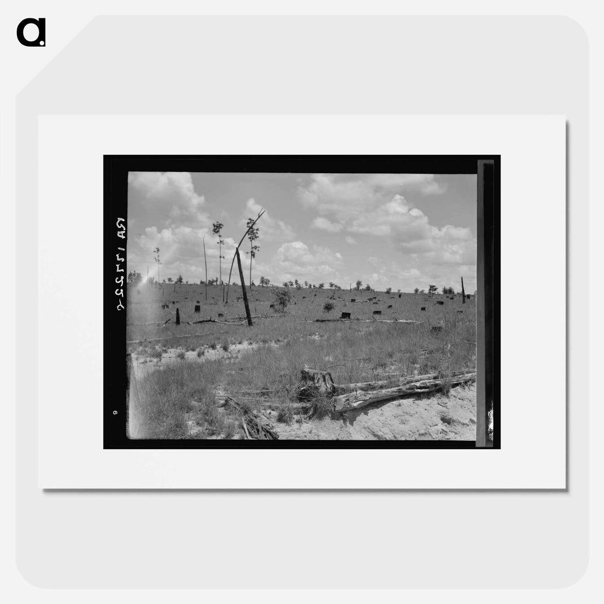 Untitled photo - Dorothea Lange Poster.