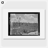 Untitled photo - Dorothea Lange Poster.
