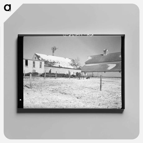 アートパネル-Harry Madsen's Hog Farm
 - ラッセル リー Canvas.