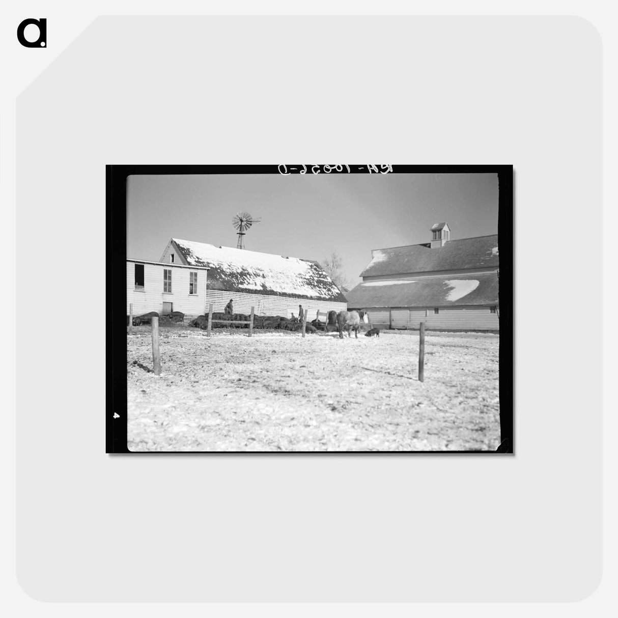 アートポストカード-Harry Madsen's Hog Farm
 - ラッセル リー Postcard.