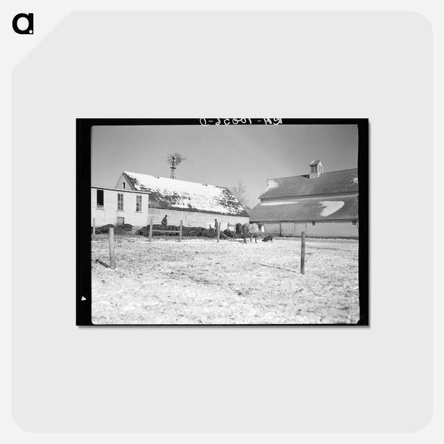 アートポストカード-Harry Madsen's Hog Farm
 - ラッセル リー Postcard.