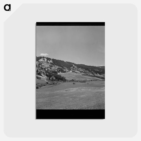 アートポストカード-Park County Cattle Ranch
 - ラッセル リー Postcard.