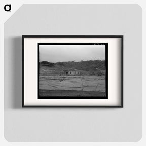 アートポスター-Soil erosion at Arroyo Grande, California - ドロテア ラング Poster.
