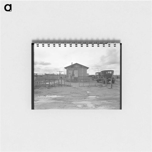 Shack in 