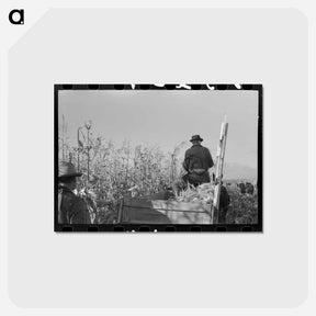 アートポストカード-Wagon of Corn
 - ラッセル リー Postcard.