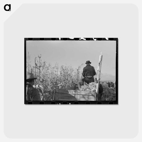 アートポストカード-Wagon of Corn
 - ラッセル リー Postcard.