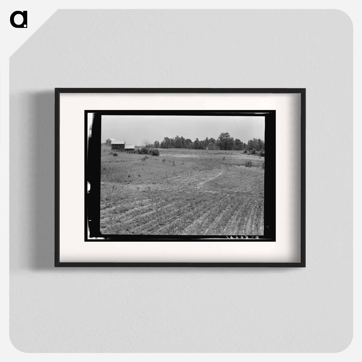 Sharecropper Farm - Dorothea Lange Poster.