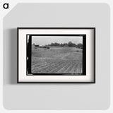 Sharecropper Farm - Dorothea Lange Poster.