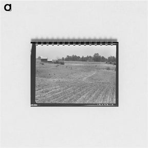 アートメモ帳-Sharecropper Farm - ドロテア ラング Memo.