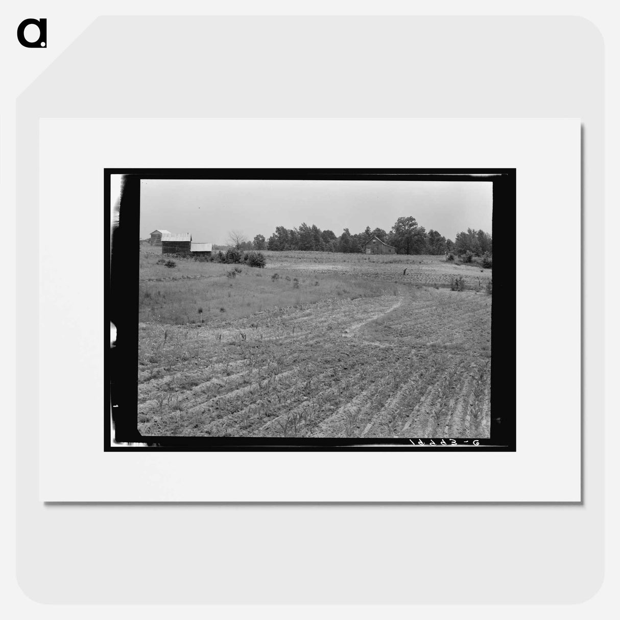 Sharecropper Farm - Dorothea Lange Poster.