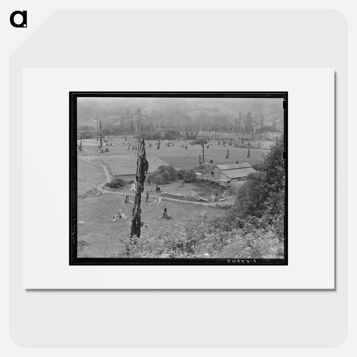 Stump ranch off highway - Dorothea Lange Poster.