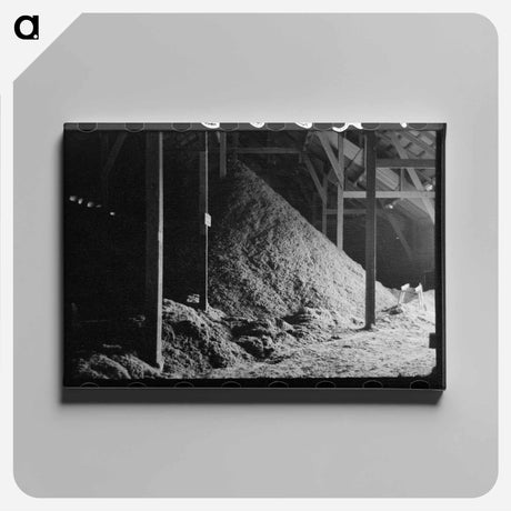 アートパネル-Cotton Seed Hulls
 - ラッセル リー Canvas.