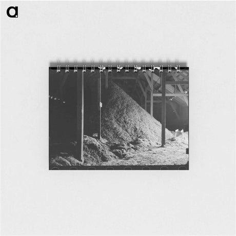 アートメモ帳-Cotton Seed Hulls
 - ラッセル リー Memo.