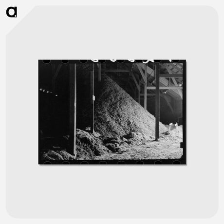 アートポストカード-Cotton Seed Hulls
 - ラッセル リー Postcard.
