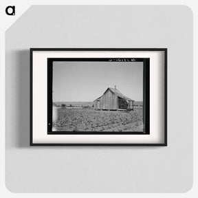 アートポスター-The cotton lands of Ellis County, Texas - ドロテア ラング Poster.