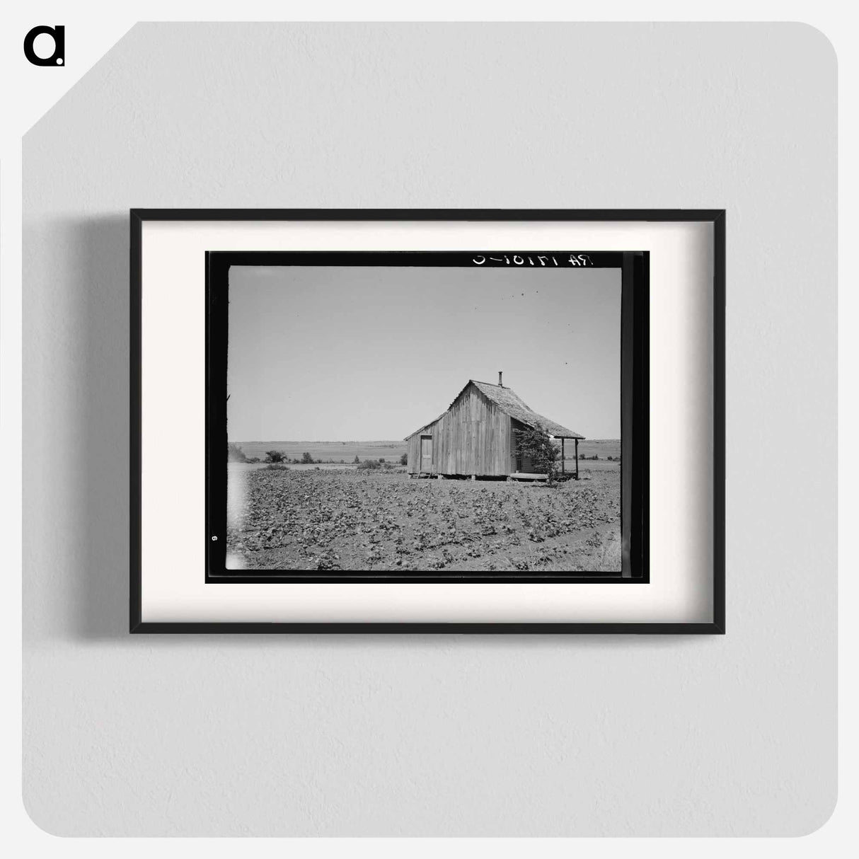 The cotton lands of Ellis County, Texas - Dorothea Lange Poster.