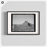 The cotton lands of Ellis County, Texas - Dorothea Lange Poster.