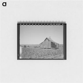 アートメモ帳-The cotton lands of Ellis County, Texas - ドロテア ラング Memo.