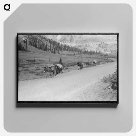 アートパネル-Pack Train of Sheepherder, Durango
 - ラッセル リー Canvas.