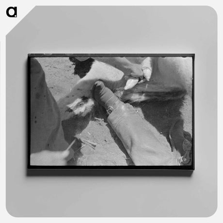 アートパネル-Cattle Ranch, Spur, Texas
 - ラッセル リー Canvas.