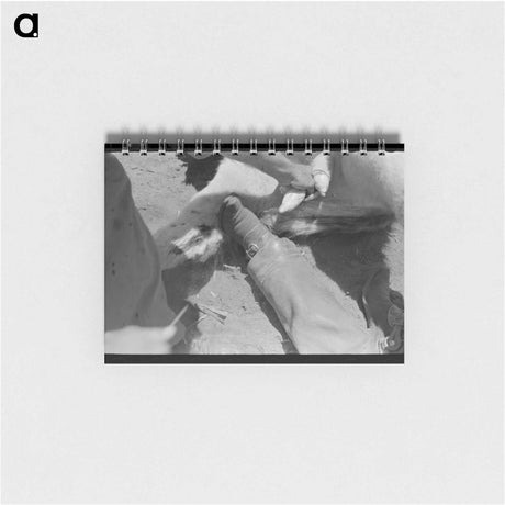 アートメモ帳-Cattle Ranch, Spur, Texas
 - ラッセル リー Memo.